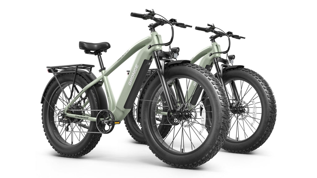 Thunder*2 Ebike
