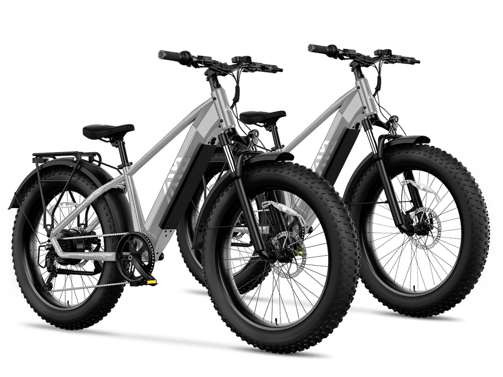 TST® Combo Sale Defender 26" Fat Tire Ebike For Adult