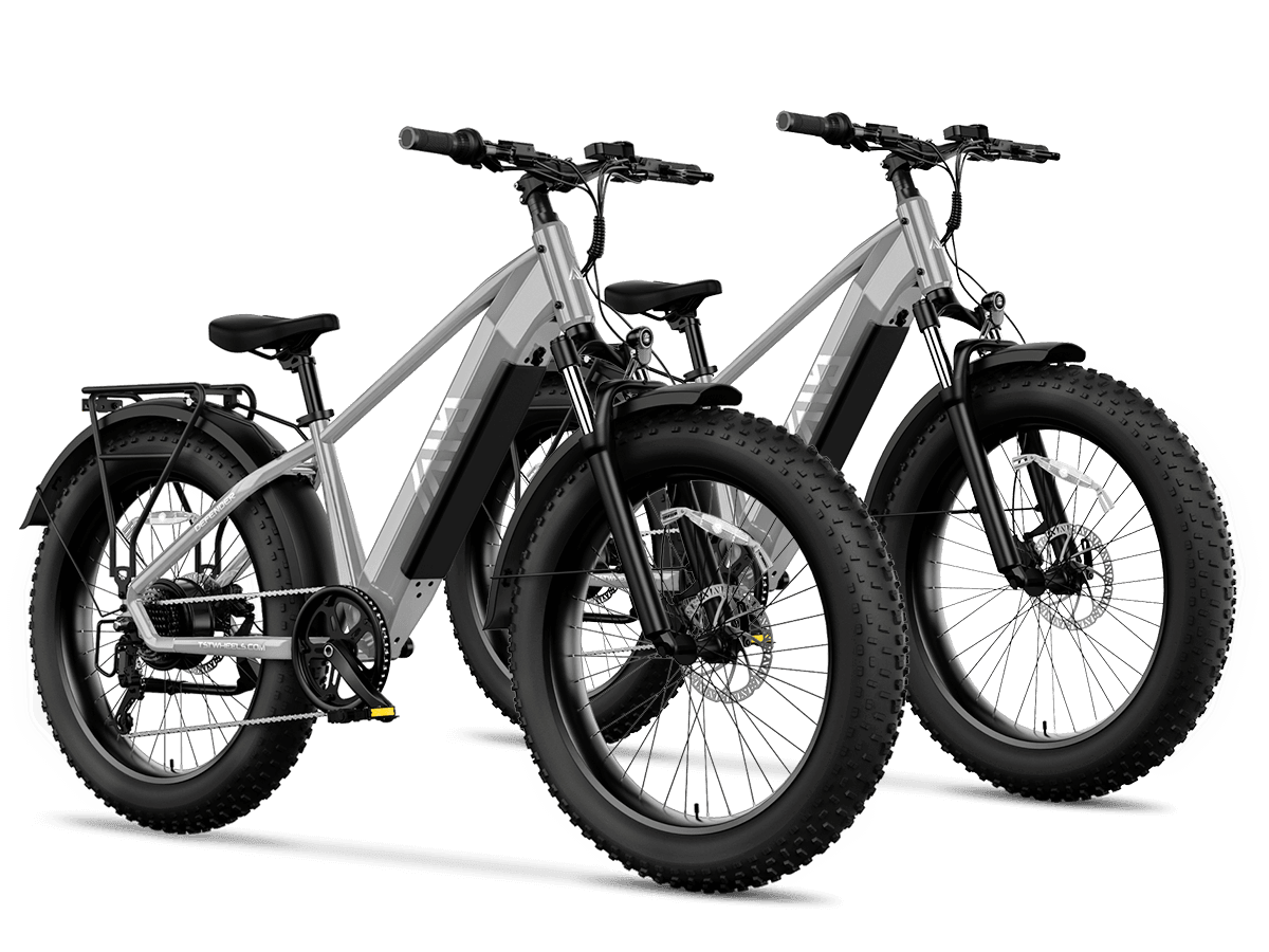 TST® Combo Sale Defender 26" Fat Tire Ebike For Adult