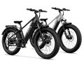 TST® Combo Sale Defender 26" Fat Tire Ebike For Adult