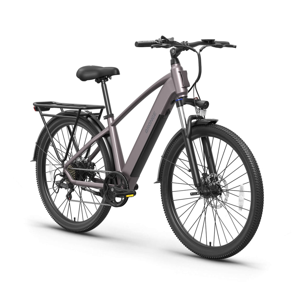 Discoverer Ebike