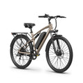 Zephyr Ebike