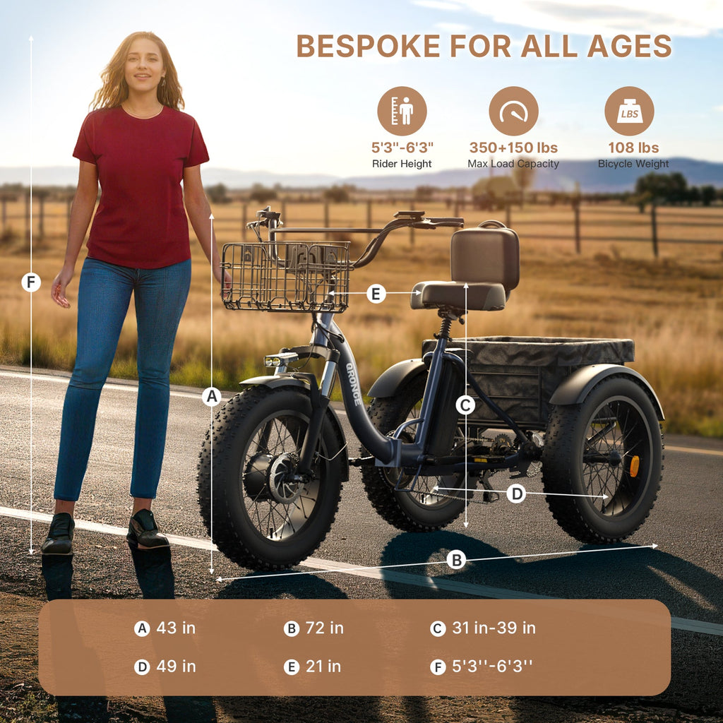 Lava Electric Tricycle