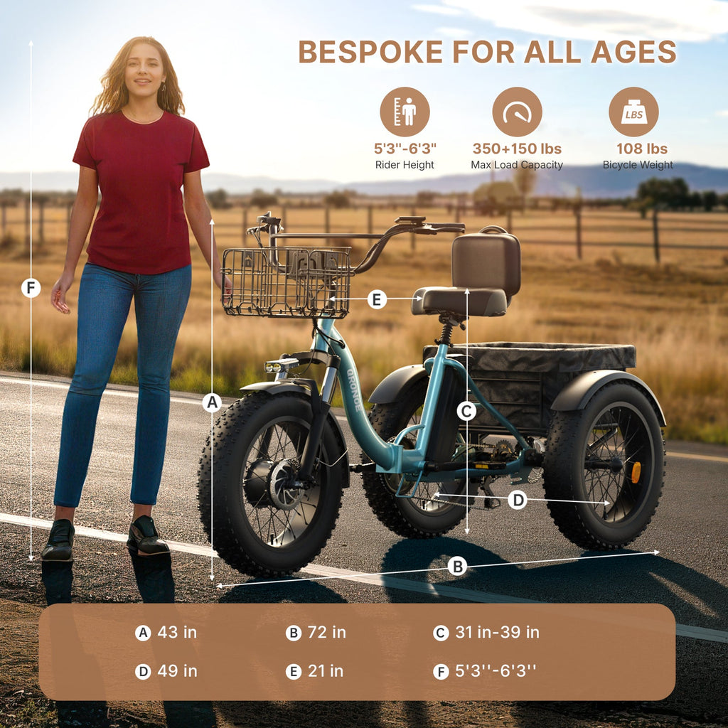 Lava Electric Tricycle