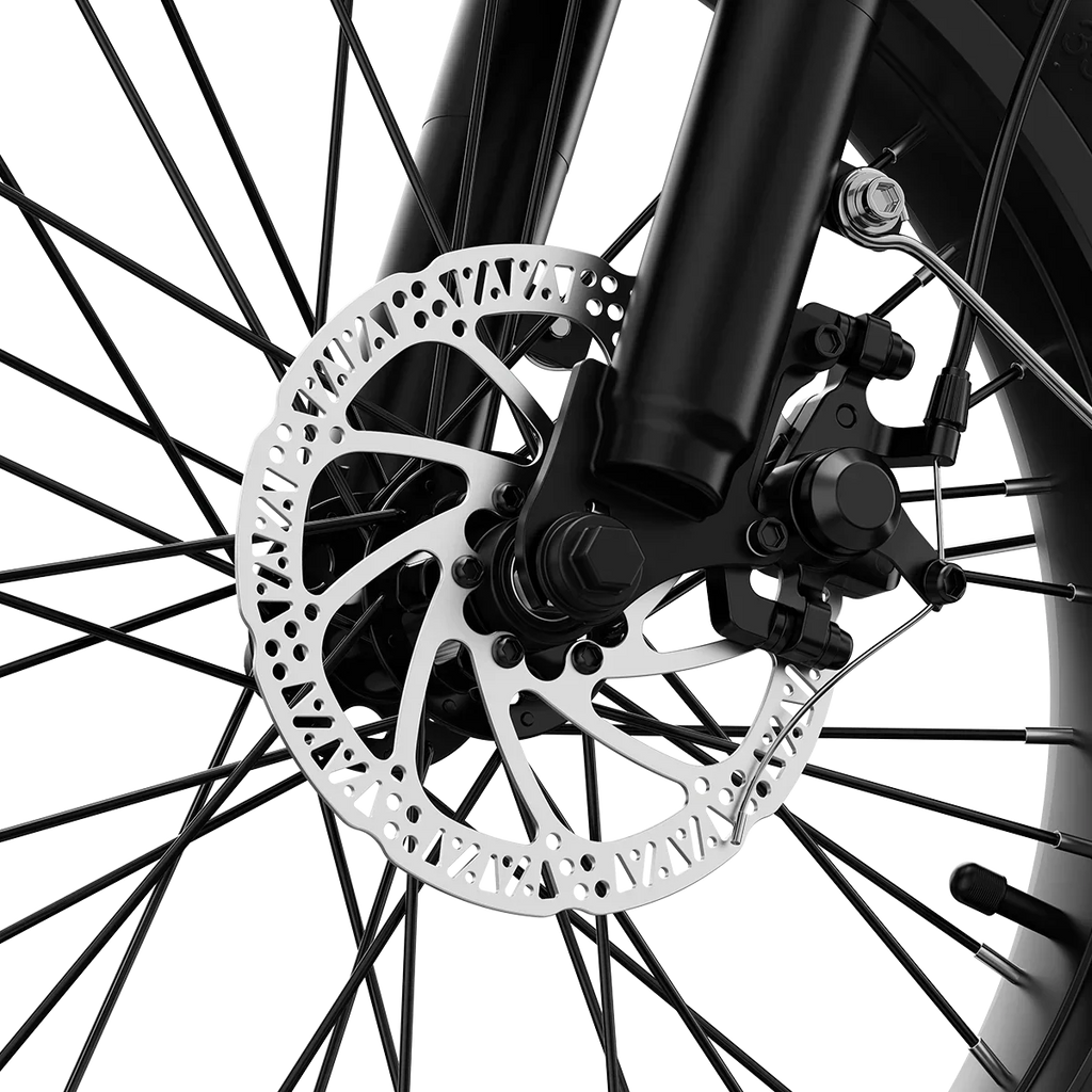 Aipas® A4 Gentry Ebike