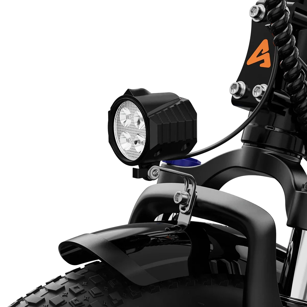 Aipas® A4 Gentry Ebike