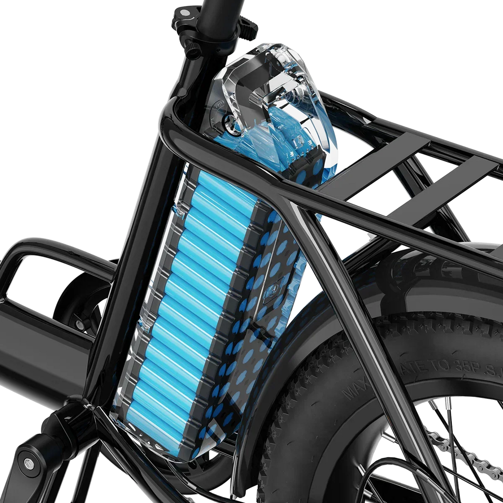 Aipas® A4 Gentry Ebike
