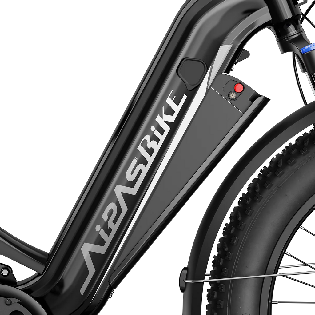 Aipas® Ebike Combo Sale M2 Max*2