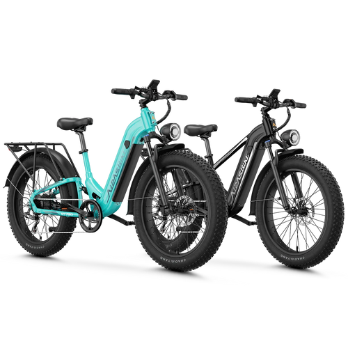 Aipas® Ebike Combo Sale M1 Pro+M2 Pro
