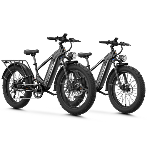 Aipas® Ebike Combo Sale M2 Max*2