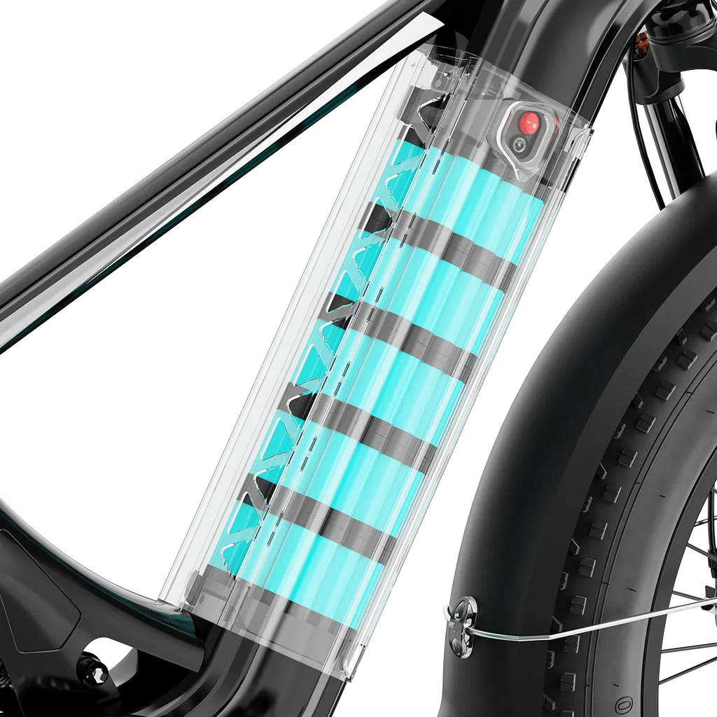 Aipas® Ebike Combo Sale M2 Pro*2