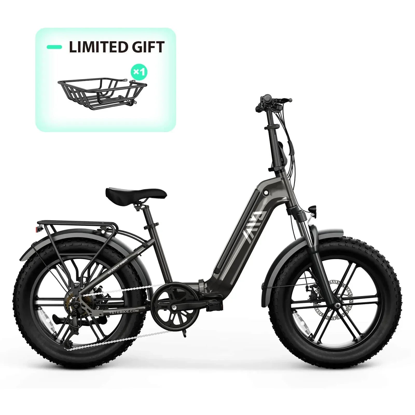 TST® Buddy Pro 20''  Folding Ebike