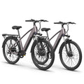 Discoverer*2 Ebike