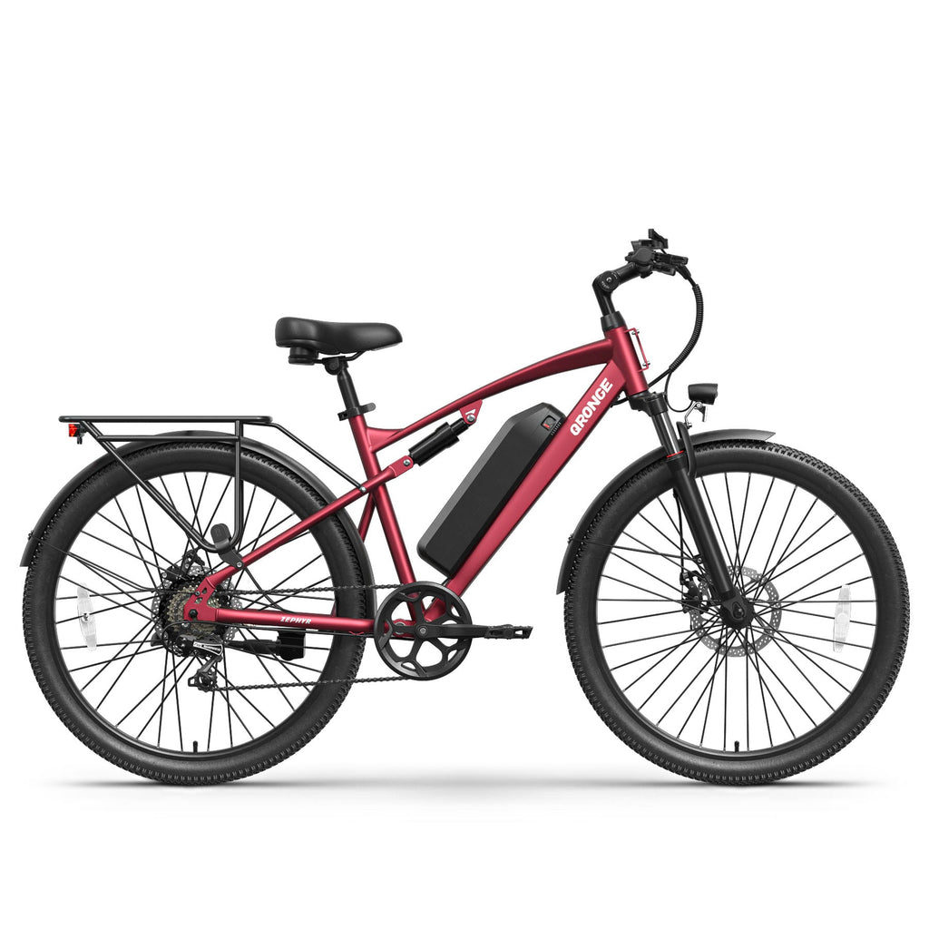 Zephyr Ebike