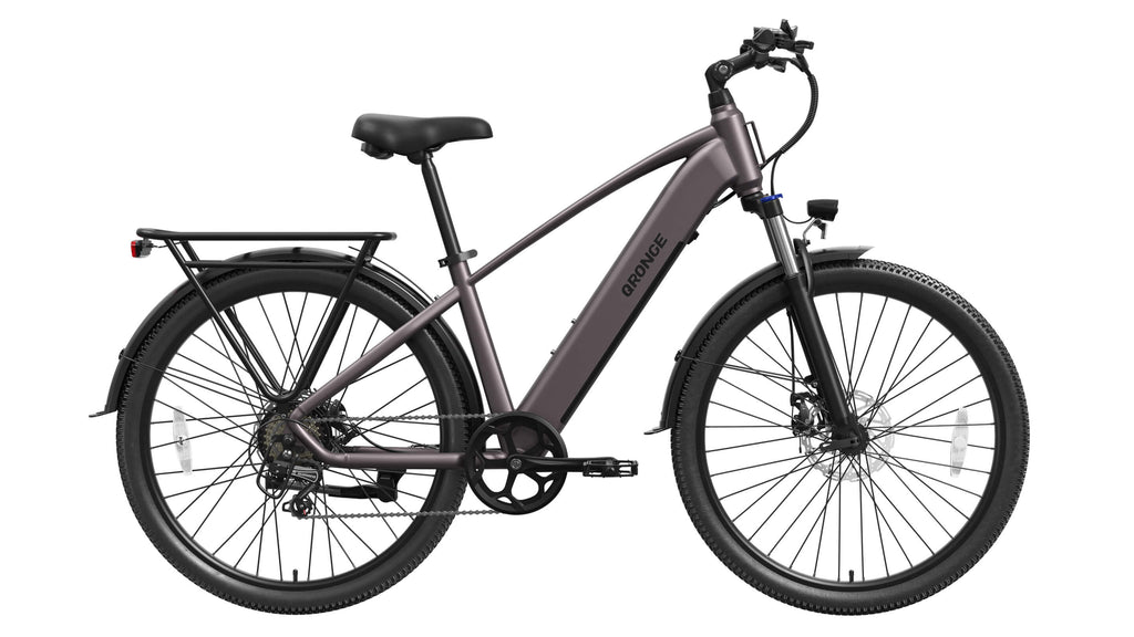 Discoverer*2 Ebike